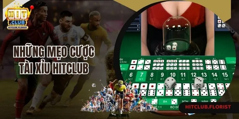 Những mẹo cược tài xỉu Hitclub dễ thắng cho tân binh