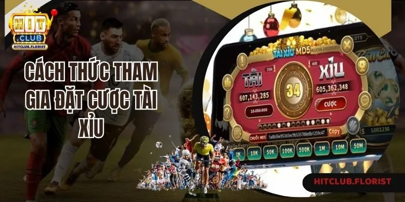 Cách thức tham gia đặt cược tài xỉu MD5 Hitclub