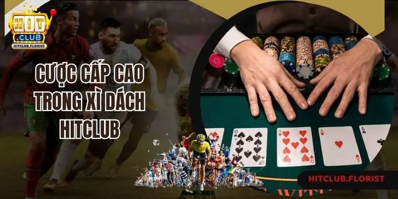 Cược cấp cao trong Xì Dách Hitclub